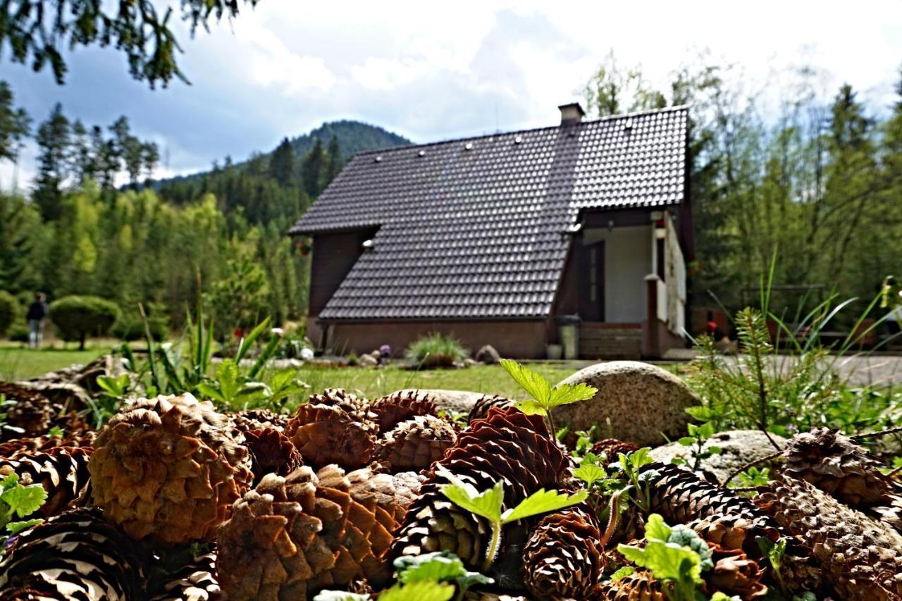 Chata Bacova Skala Liptovsky Jan Exterior foto